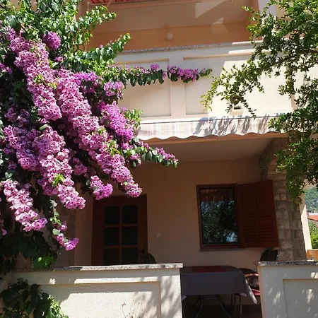 Davorka Daire